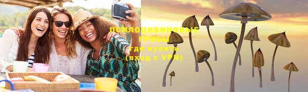 крисы Алексеевка